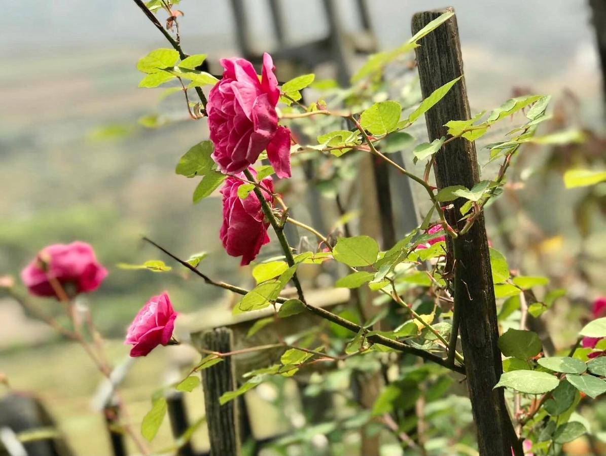 Ta Van Family Homestay Sapa Exteriér fotografie